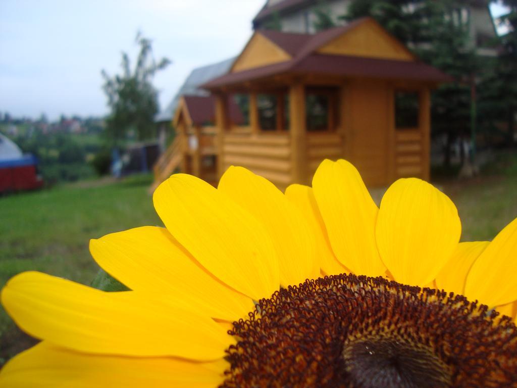 Apartamenty I Pokoje Pod Limbami - Sauna, Teznia Bukowina Tatrzanska Exterior photo